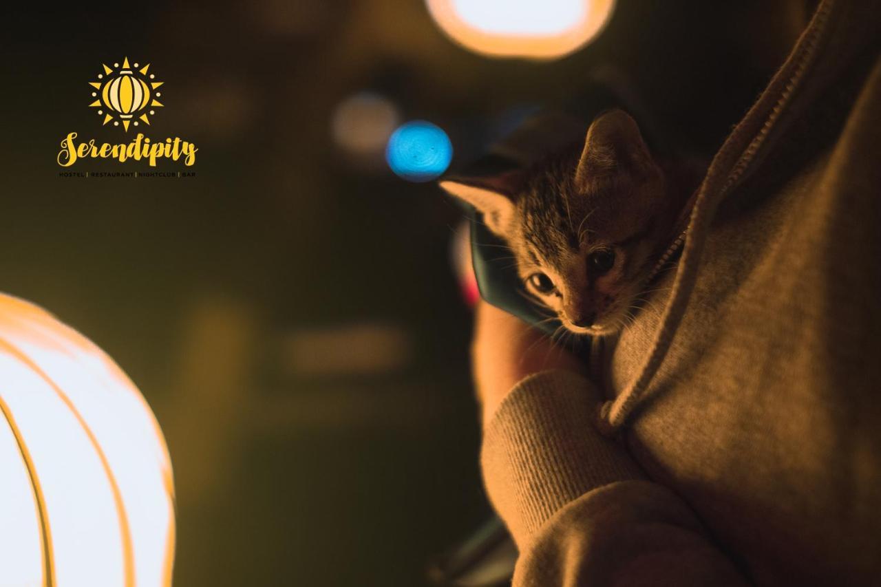Serendipity Hoi An Hostel Εξωτερικό φωτογραφία